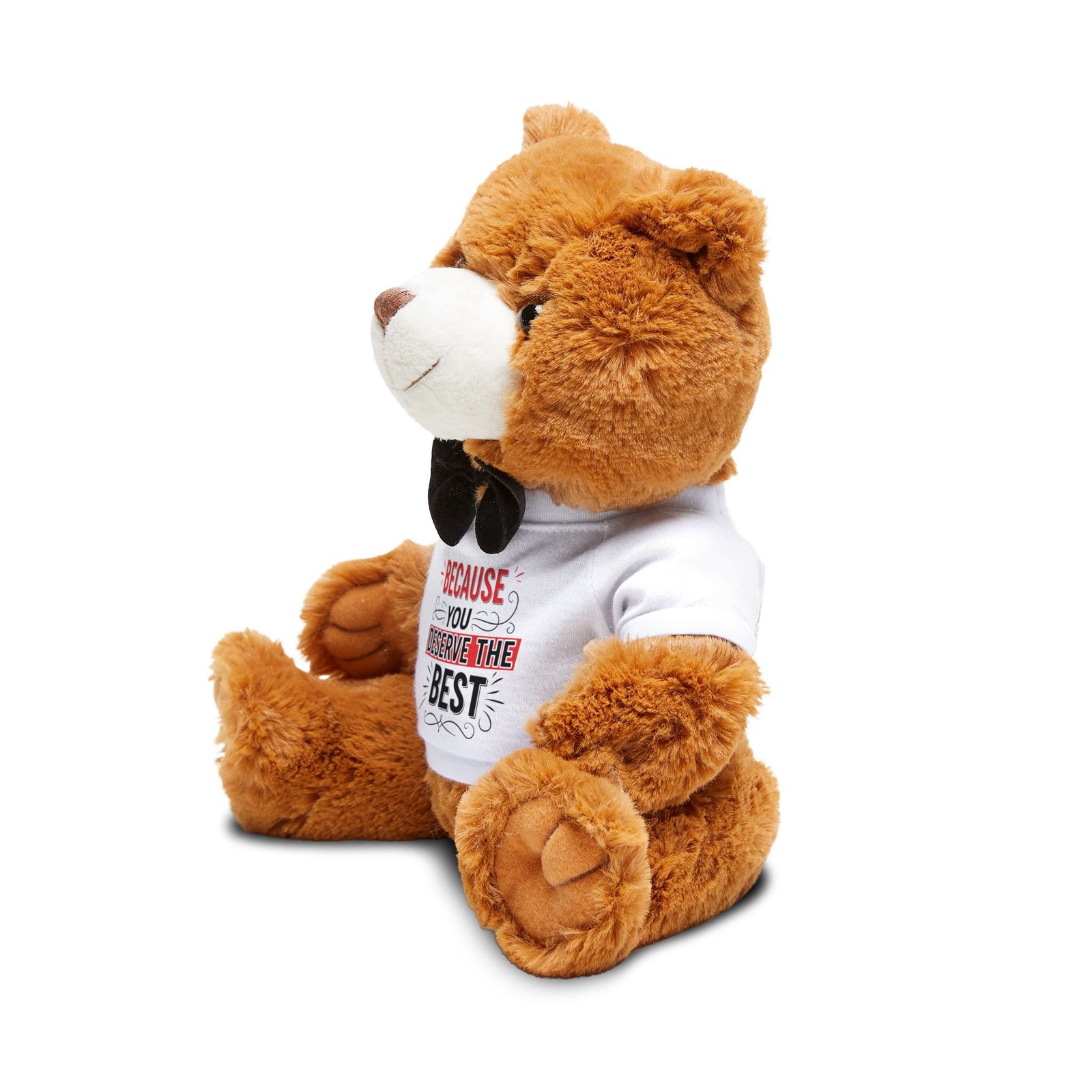Teddy Bear — 'Because You Deserve the Best' Plush Gift - Image 3