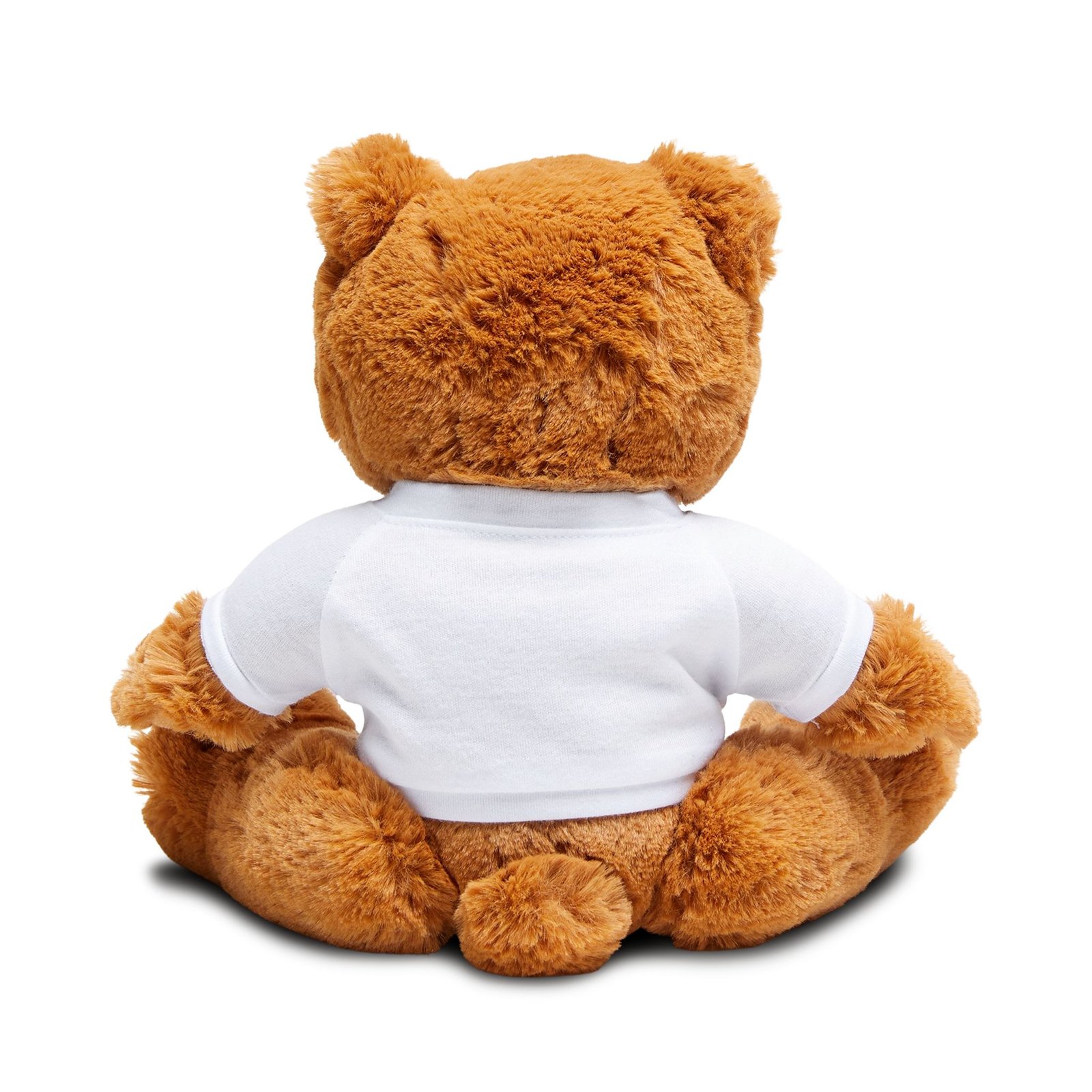 Teddy Bear — 'Because You Deserve the Best' Plush Gift - Image 4