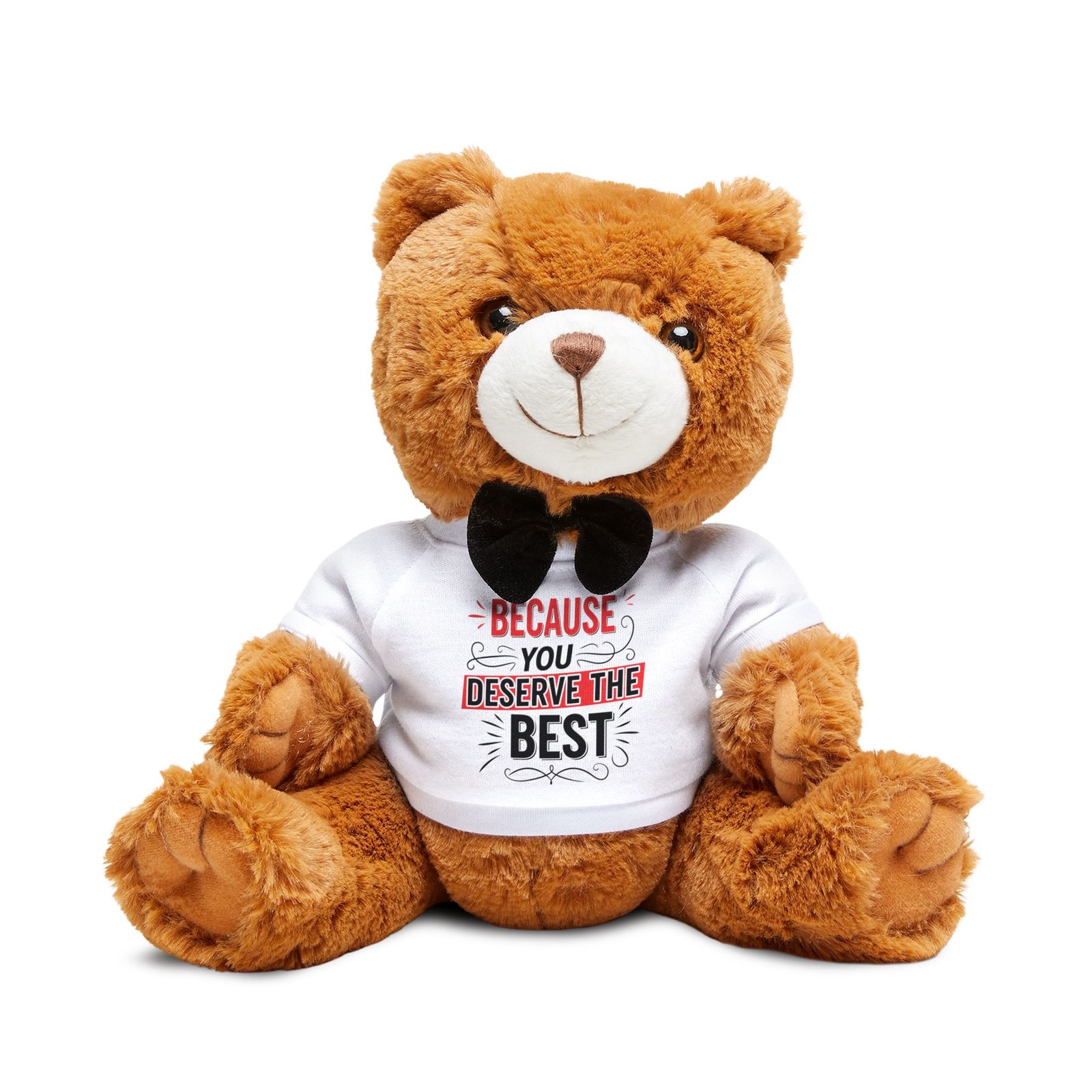 Teddy Bear — 'Because You Deserve the Best' Plush Gift